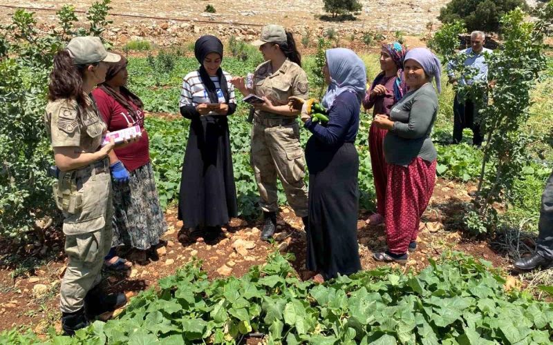 Gaziantep'te Jandarma Ekiplerinden KADES Uygulaması Tanıtımı ve Farkındalık Eğitimi