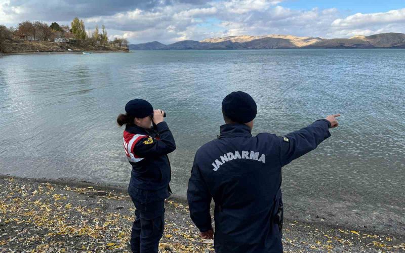 Elazığ’da Jandarma Ekipleri Sokak Hayvanlarını Unutmadı