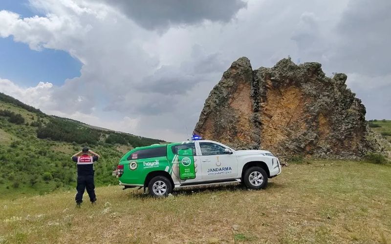 Yozgat İl Jandarma Komutanlığı İle Çevre Doğa ve Hayvanları Koruma Timi (HAYDİ) Ekipleri Tarafından Endemik Cehrelik Lalesine Koruma Denetimi Yapıldı